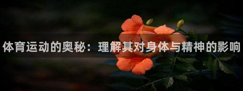 vsport体育官网下载注册：体育运动的奥秘：理解其