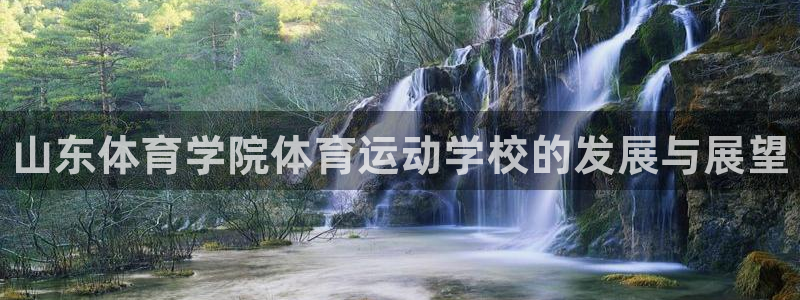 vsport体育官网下载：山东体育学院体育运动学校的