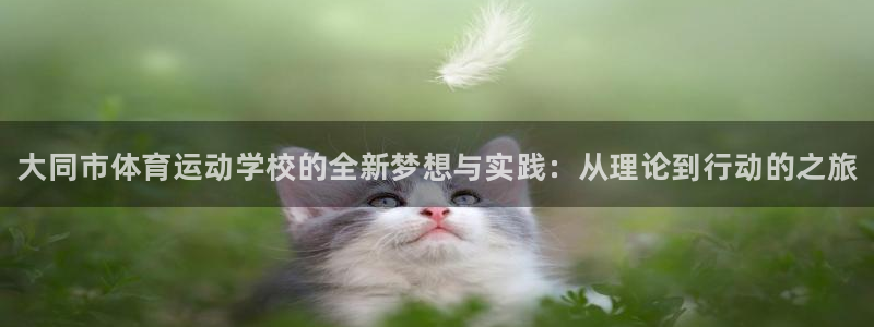 vsport体育官网下载平台假的吗是真的吗：大同市体
