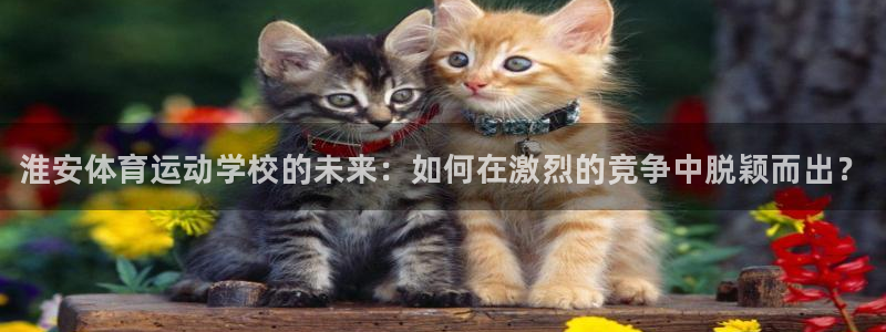 vsport体育官网下载招商电话：淮安体育运动学校的