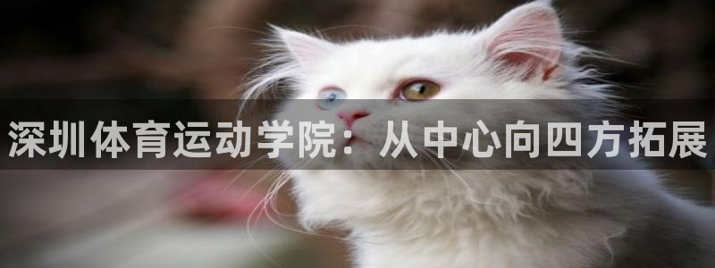 vsport体育官方正版app官方：深圳体育运动学院