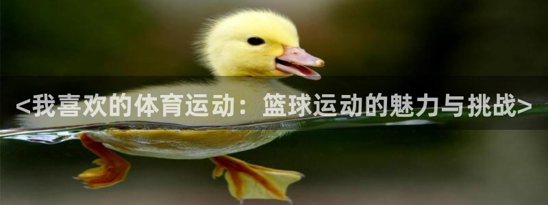 vsport体育官方正版app娱乐首页官网下载：<我