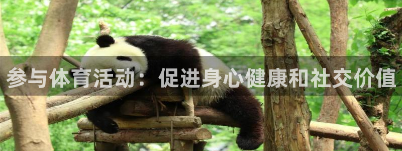 vsport体育官方正版app新能源：参与体育活动：