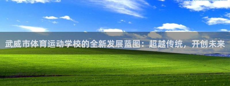 vsport体育官方正版app集团官网首页网址：武威