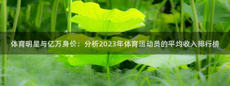 海南vsport体育官网下载：体育明星与亿万身价：分析202
