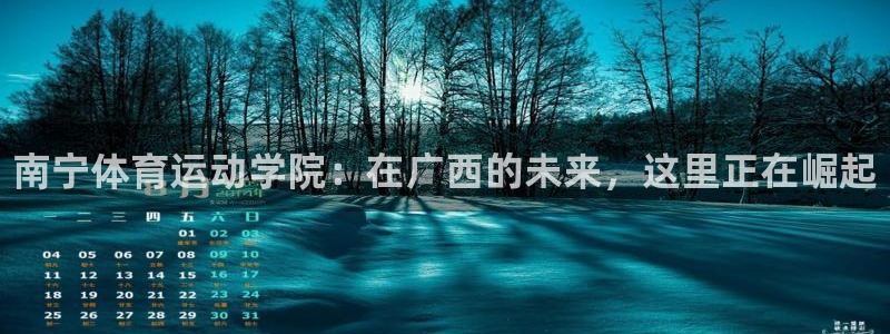 vsport体育官网下载平台注册流程图：南宁体育运动
