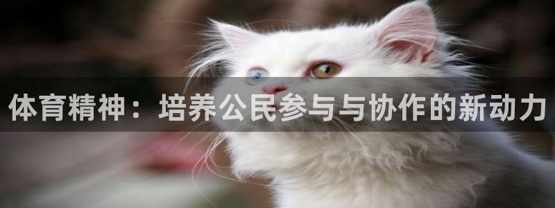 vsport体育官网下载招商电话号码是多少：体育精神