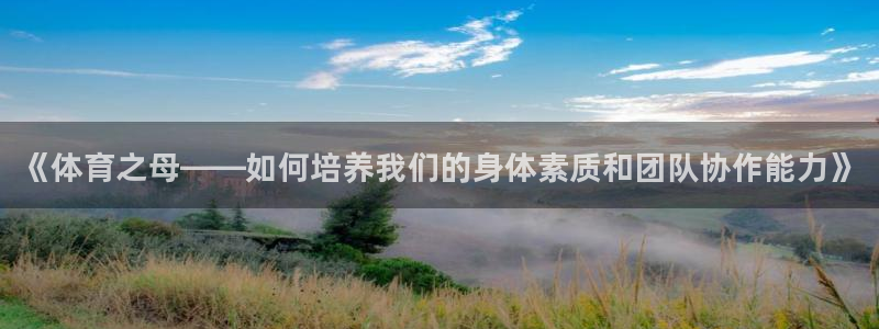 vsport体育官网下载平台假的吗是真的吗：《体育之