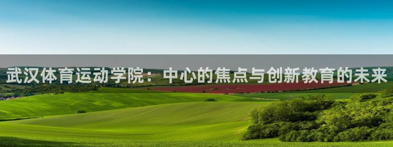 vsport体育官网下载招商：武汉体育运动学院：中心