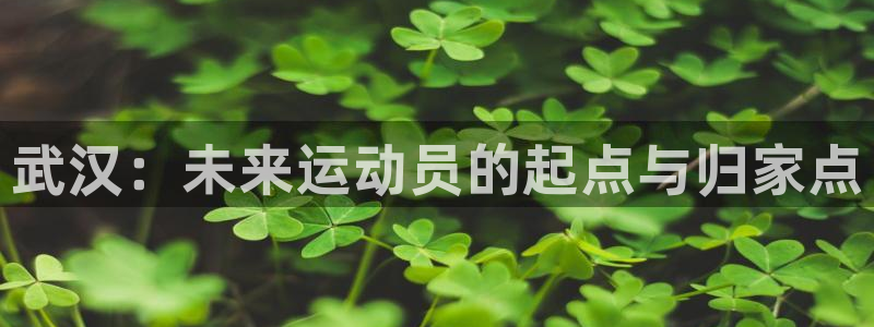 vsport体育官方正版app集团官网首页：武汉：未来运动员