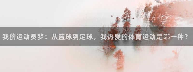 vsport体育平台app