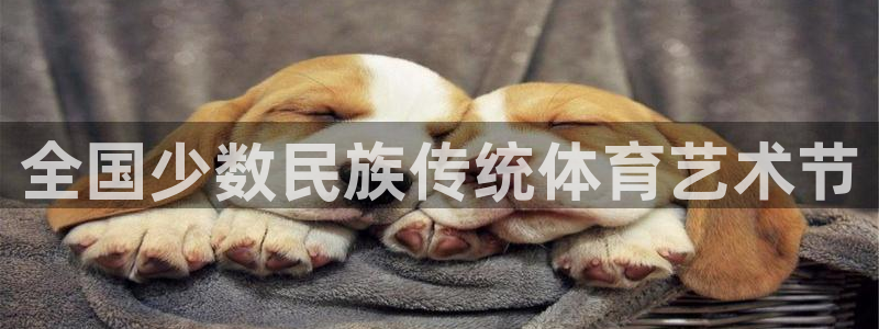 vsport体育在线官网：全国少数民族传统体育艺术节