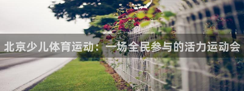  vsport体育平台app下载安装免费：北京少儿体育运动：一
