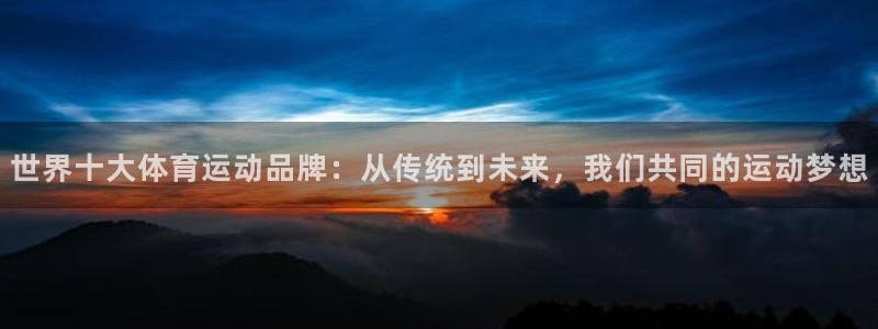  VSport体育平台-胜利因您更精彩：世界十大体育运动品牌：