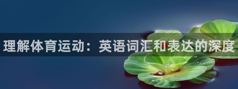  vsport体育阿根廷：理解体育运动：英语词汇和表达的深度