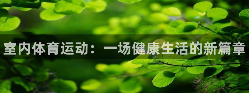  vSport体育在线登录平台：室内体育运动：一场健康生活的新