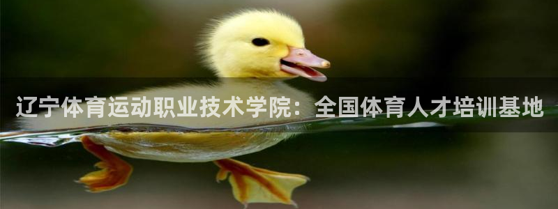  vsport体育：辽宁体育运动职业技术学院：全国体育人才培训